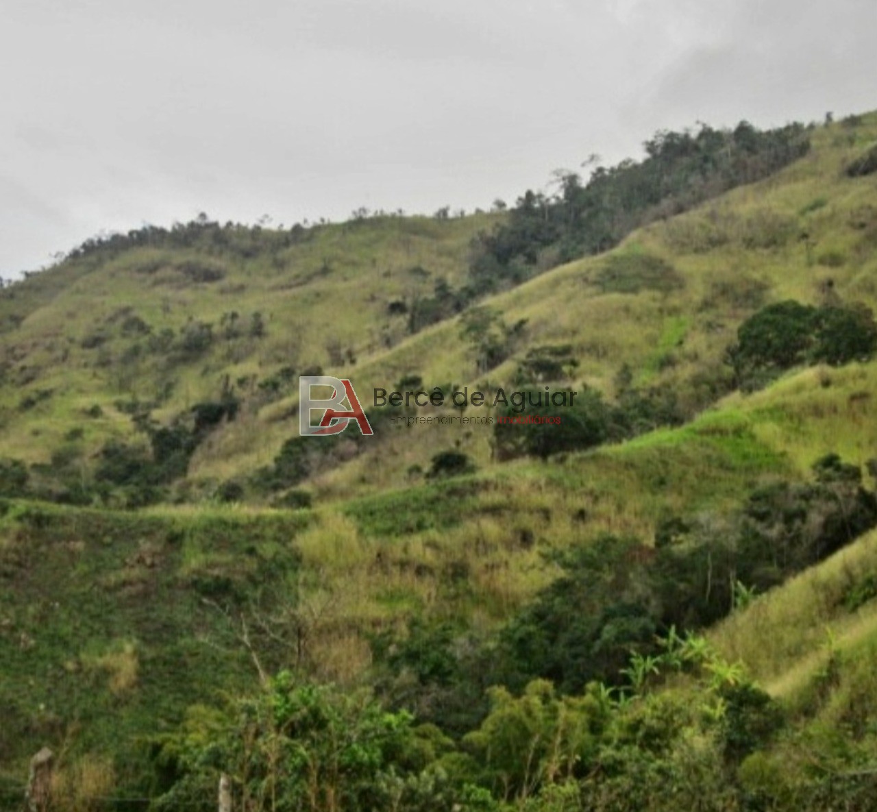 Fazenda - Foto 3