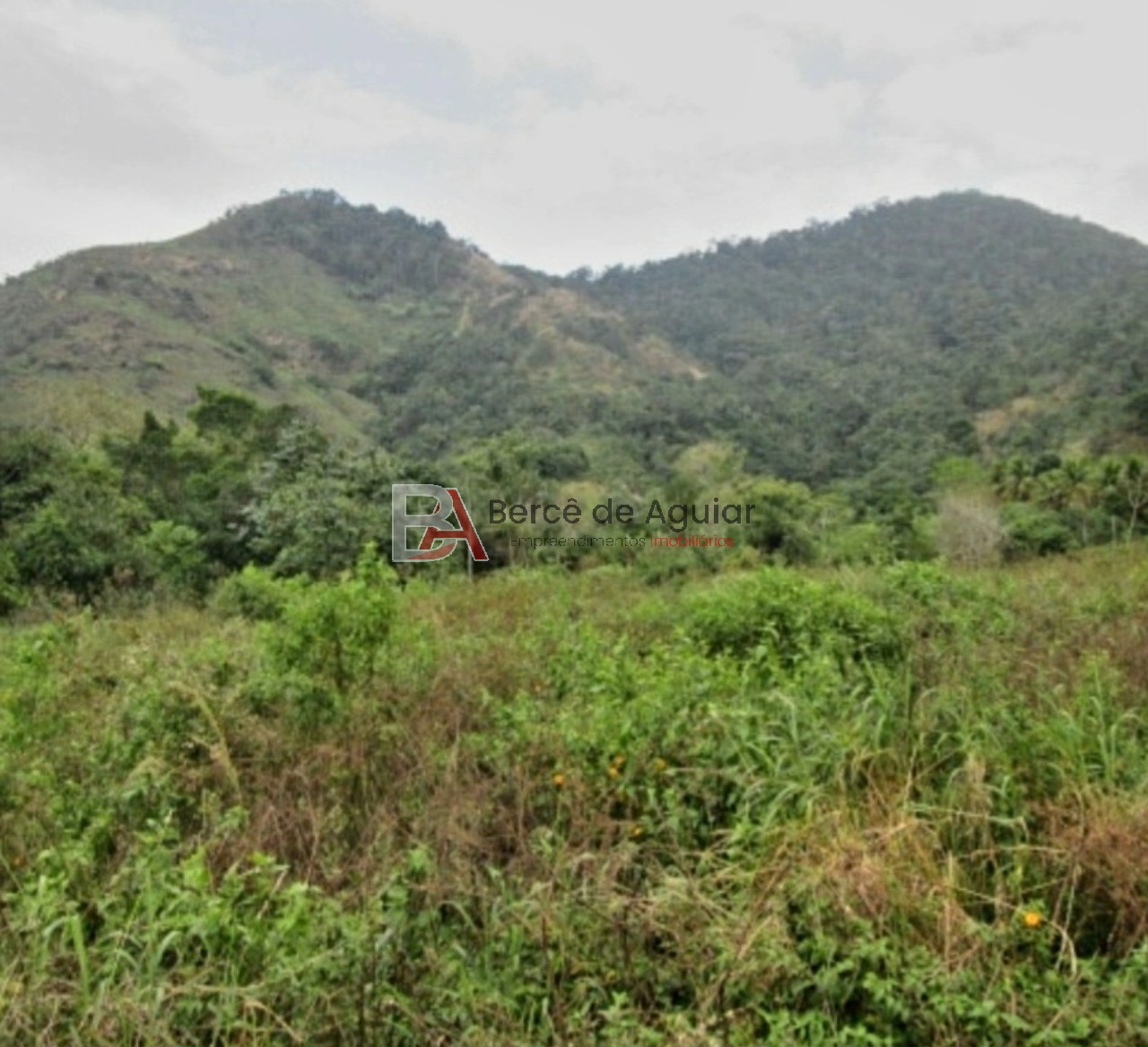 Fazenda - Foto 5