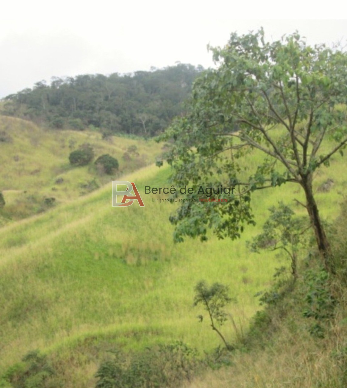 Fazenda - Foto 6