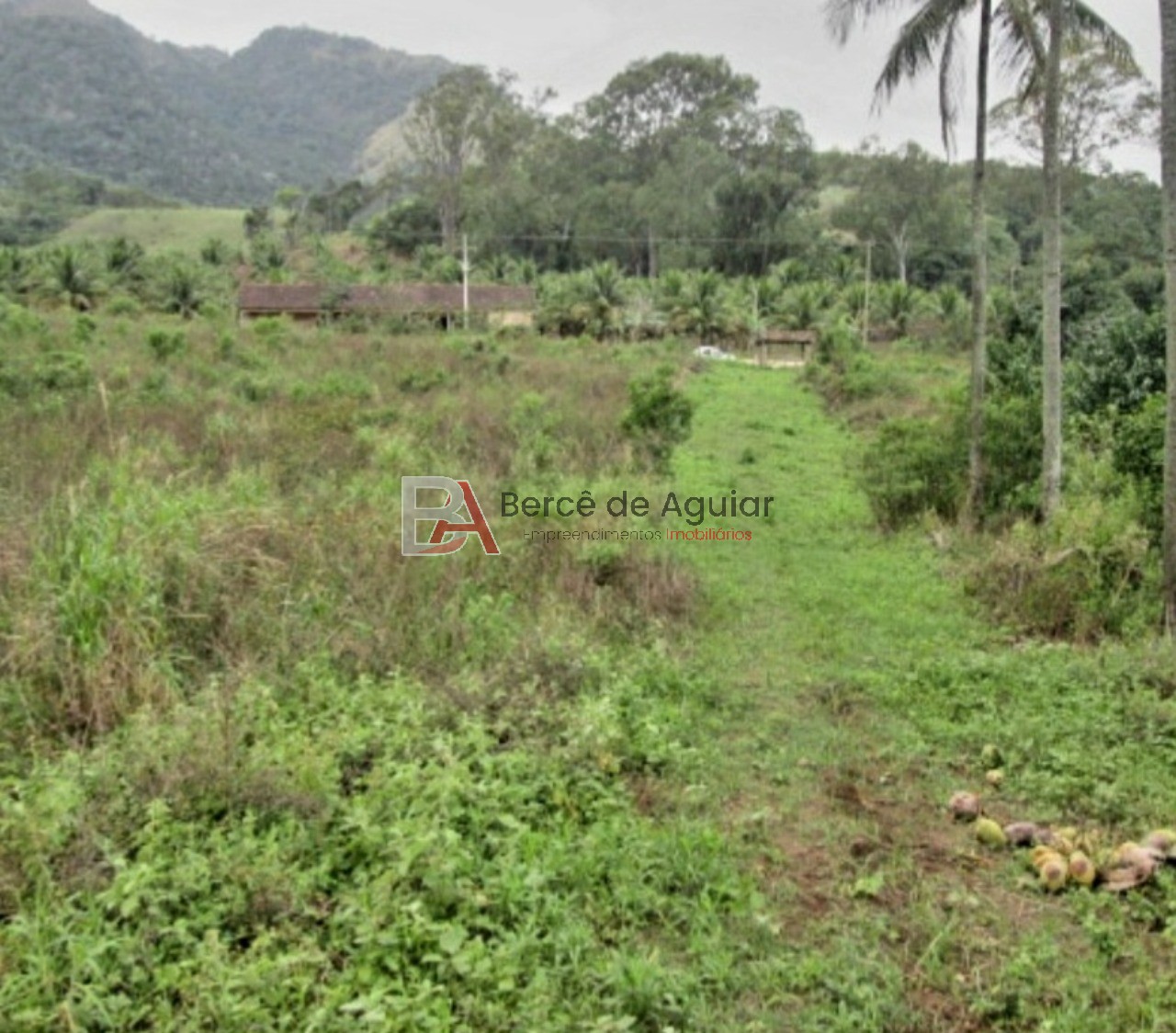 Fazenda - Foto 11
