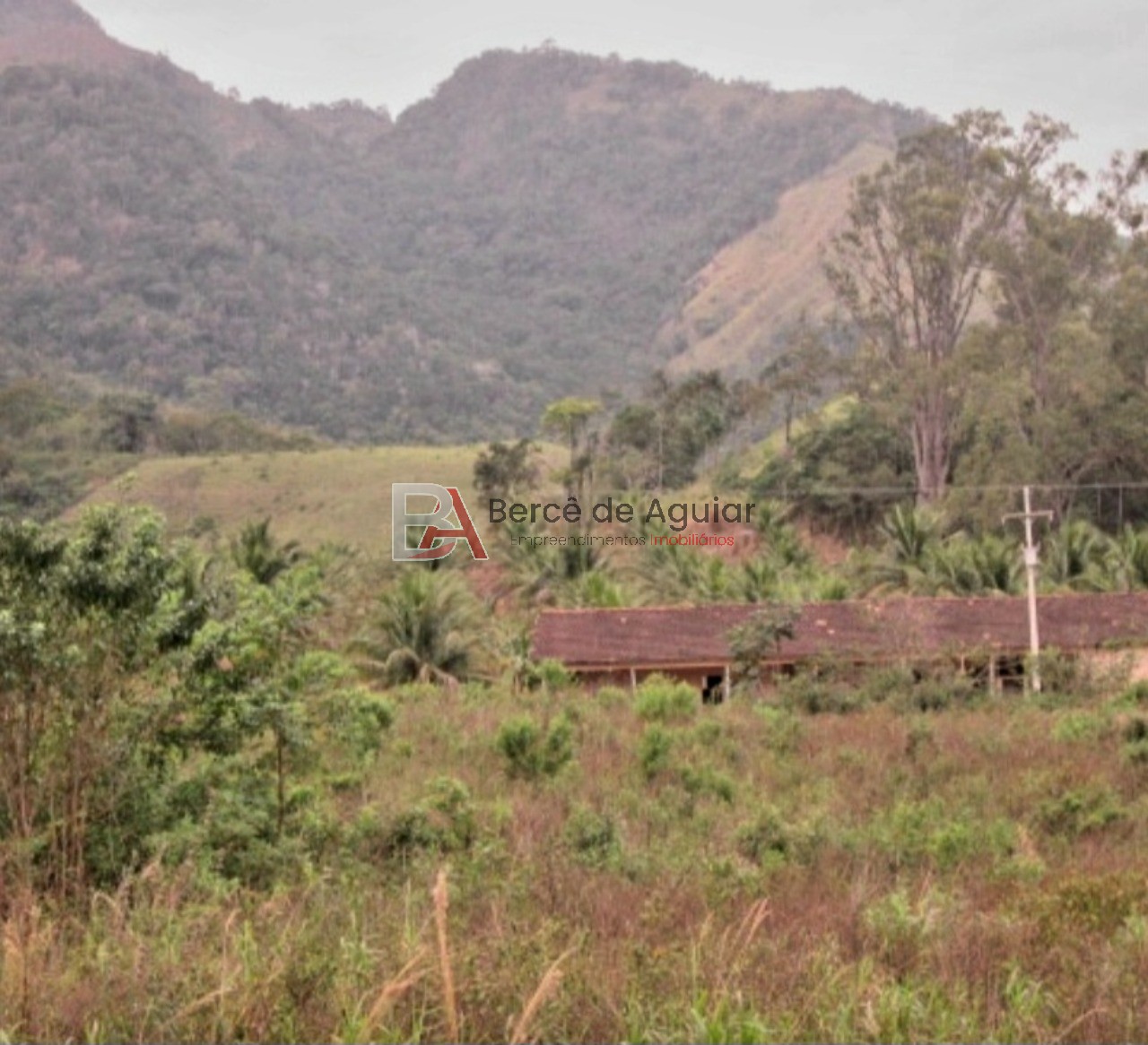 Fazenda - Foto 14