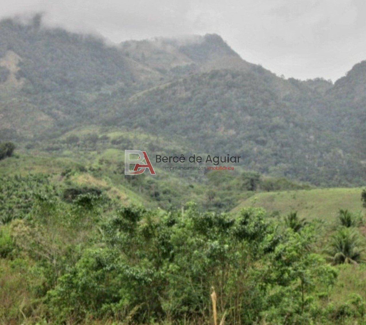 Fazenda - Foto 15