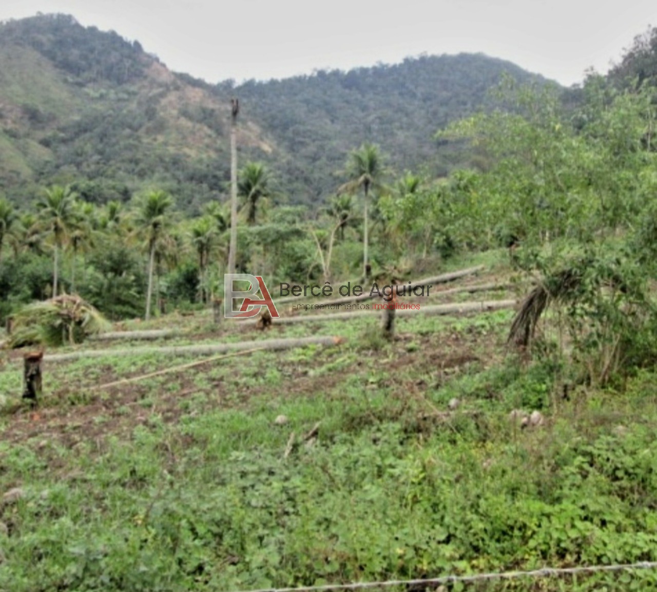 Fazenda - Foto 9