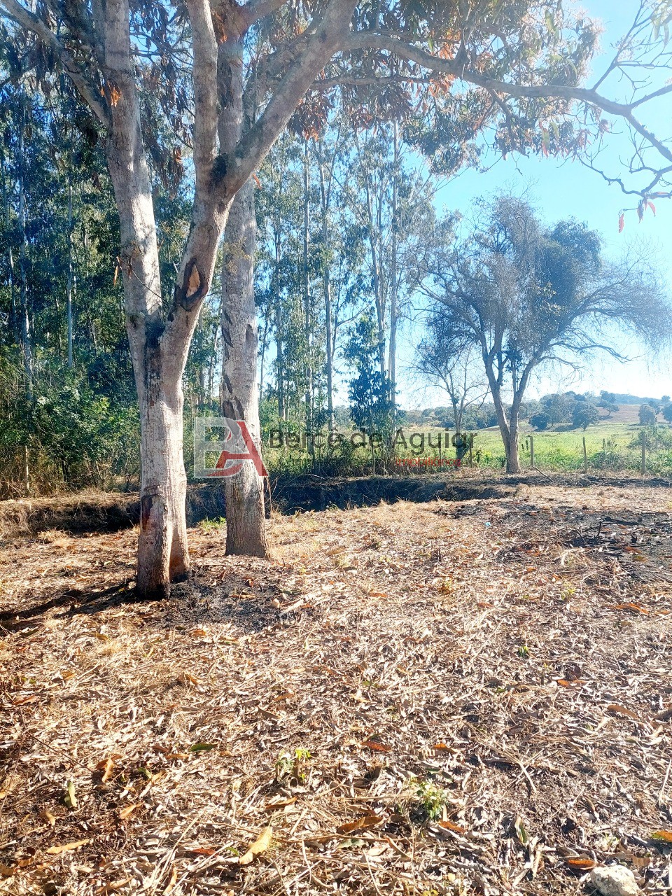Fazenda, 2592 m² - Foto 12
