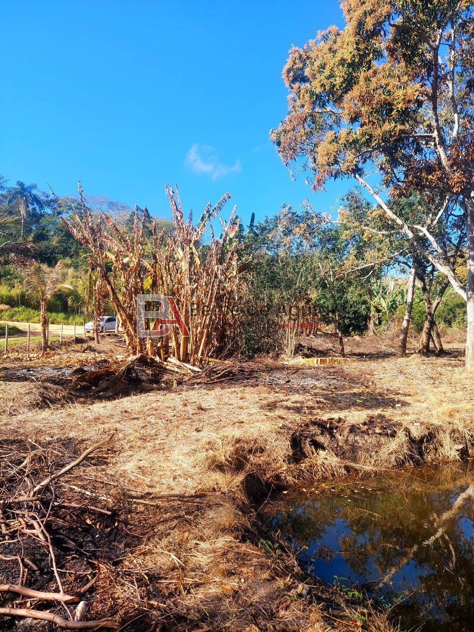 Fazenda, 2592 m² - Foto 11