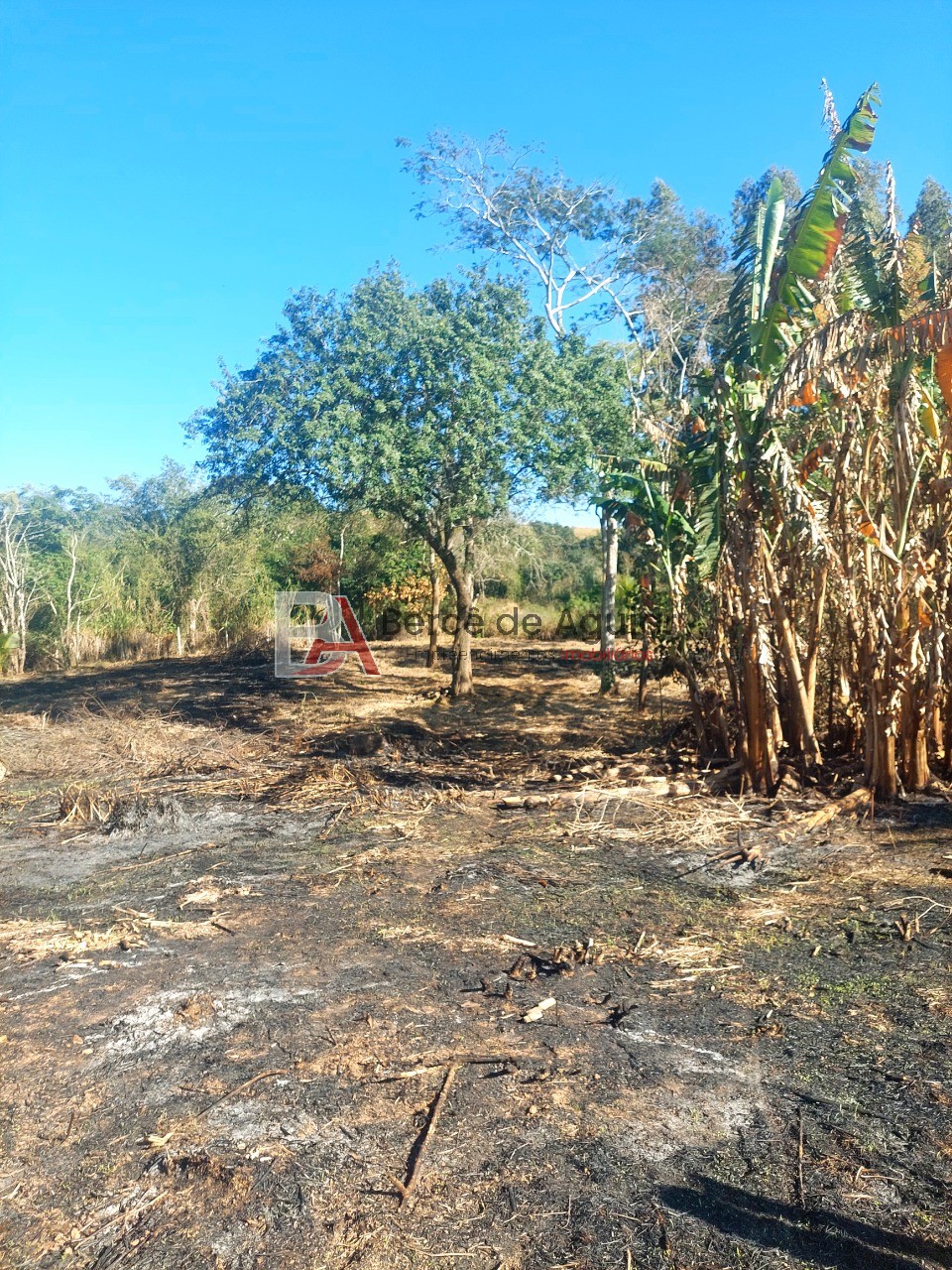 Fazenda, 2592 m² - Foto 10