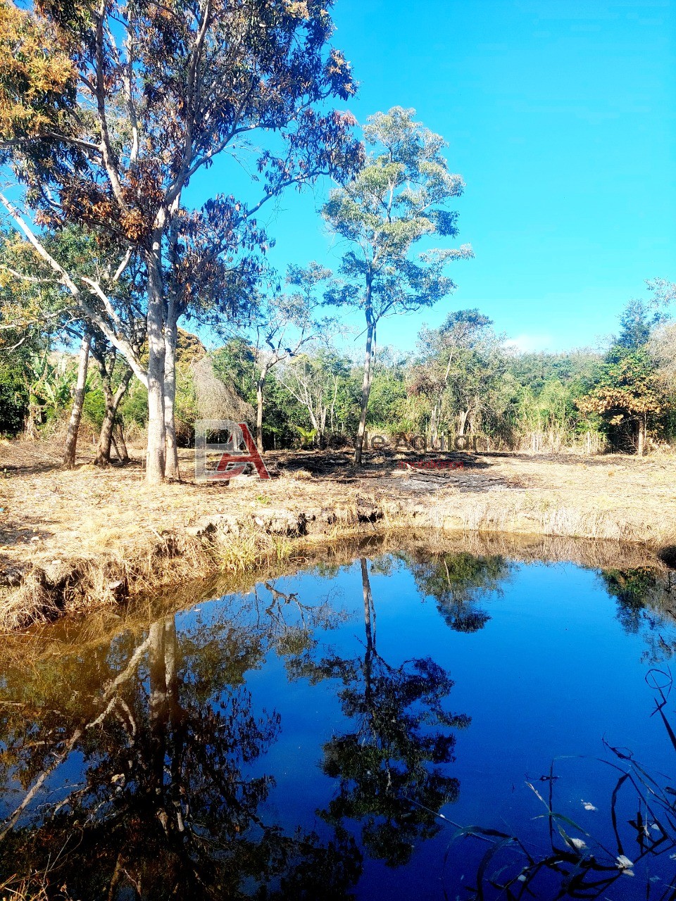 Fazenda, 2592 m² - Foto 1