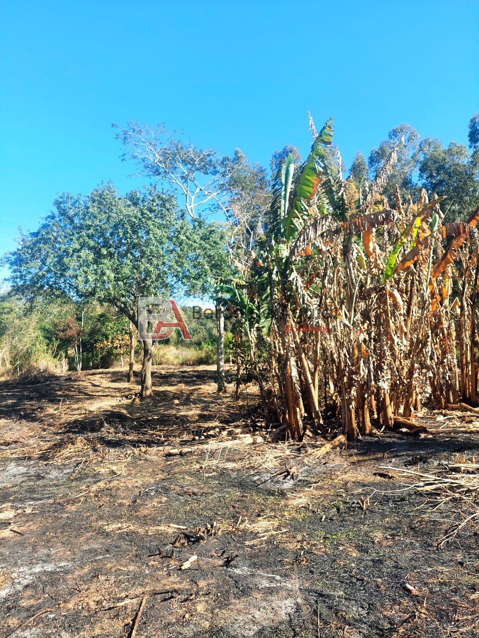 Fazenda, 2592 m² - Foto 8