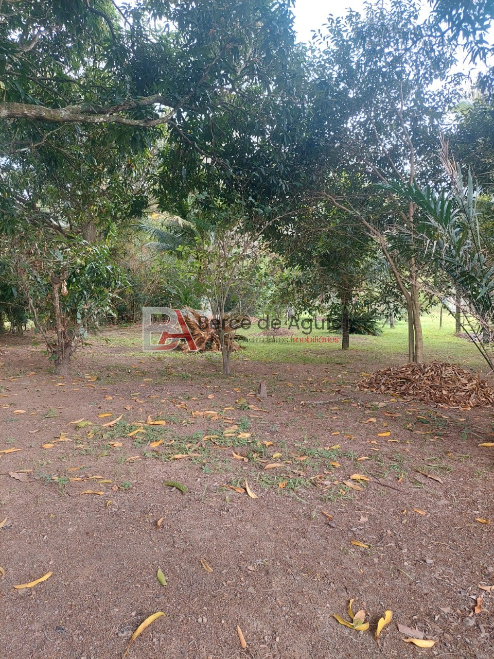Sítio, 4 quartos - Foto 26