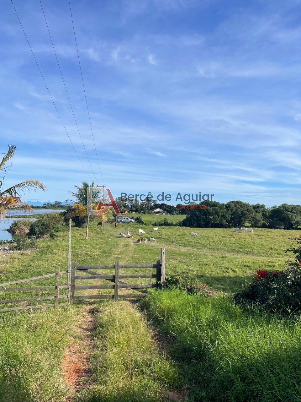 Fazenda, 21 m² - Foto 3