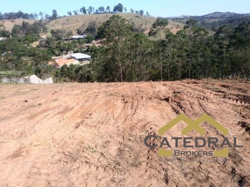 Terreno à venda, 6500m² - Foto 3