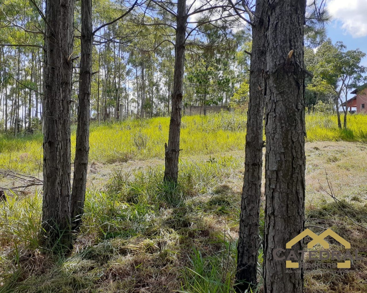 Terreno à venda, 3200m² - Foto 1