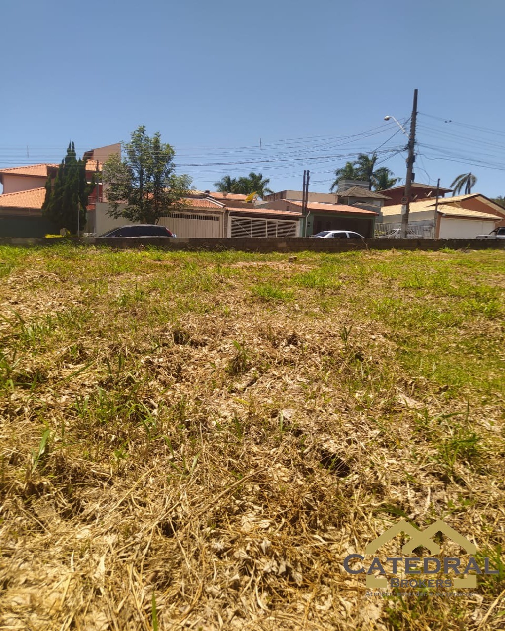 Terreno para alugar, 360m² - Foto 4