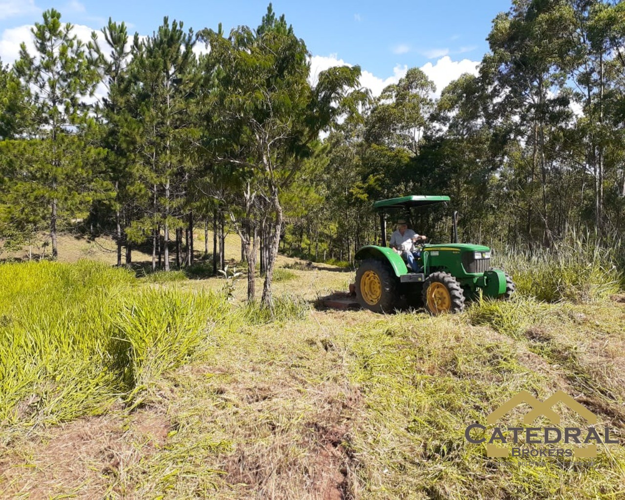 Terreno à venda, 3200m² - Foto 7