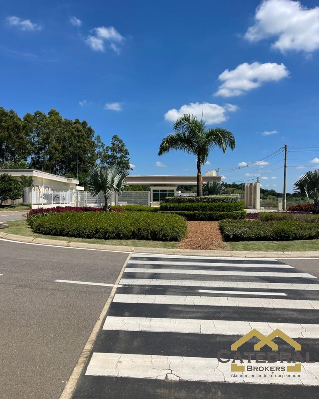 Terreno, 38 hectares - Foto 5