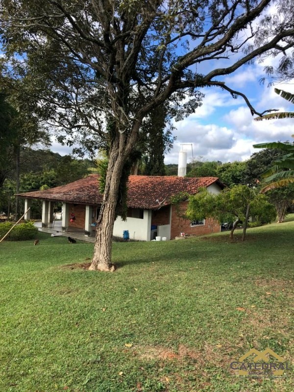 Chácara à venda com 3 quartos, 18000m² - Foto 4