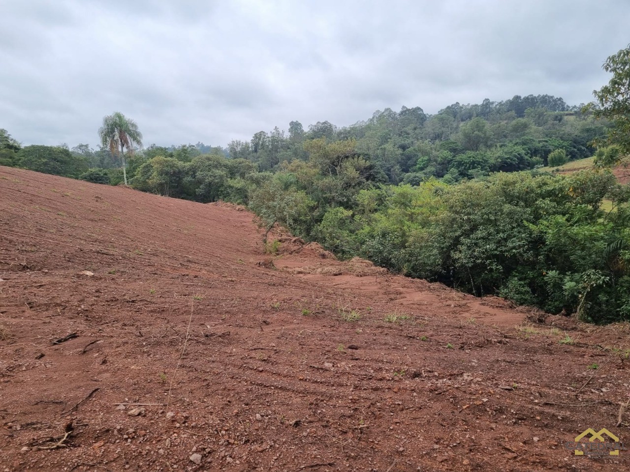 Terreno à venda, 5000m² - Foto 6