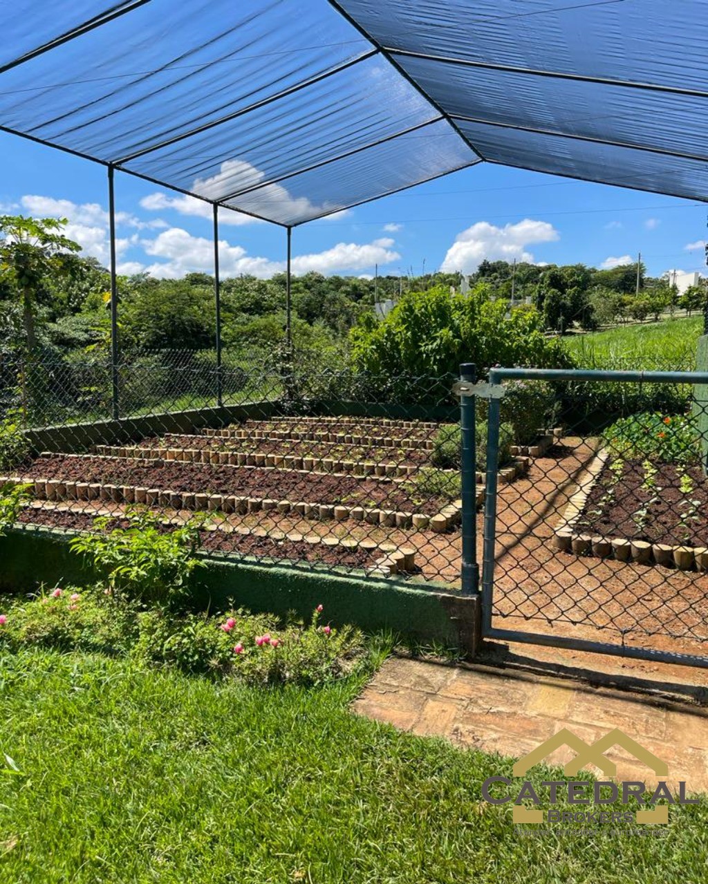 Terreno, 38 hectares - Foto 8