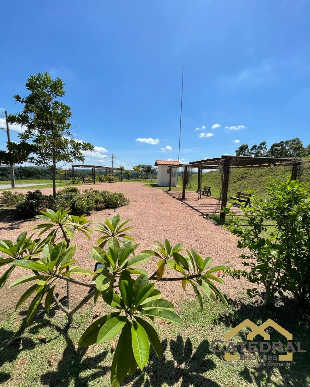 Terreno, 38 hectares - Foto 10