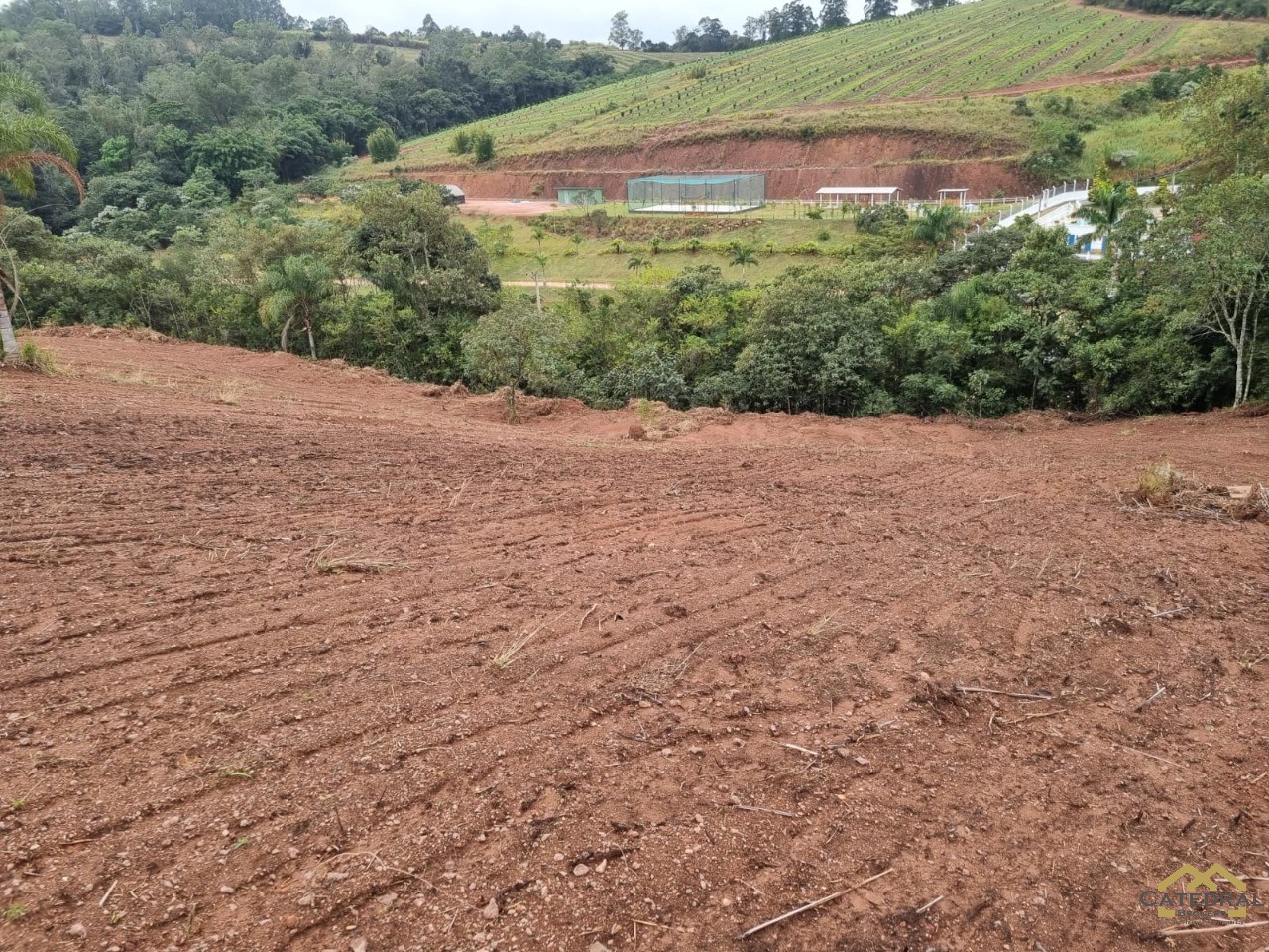 Terreno à venda, 5000m² - Foto 11