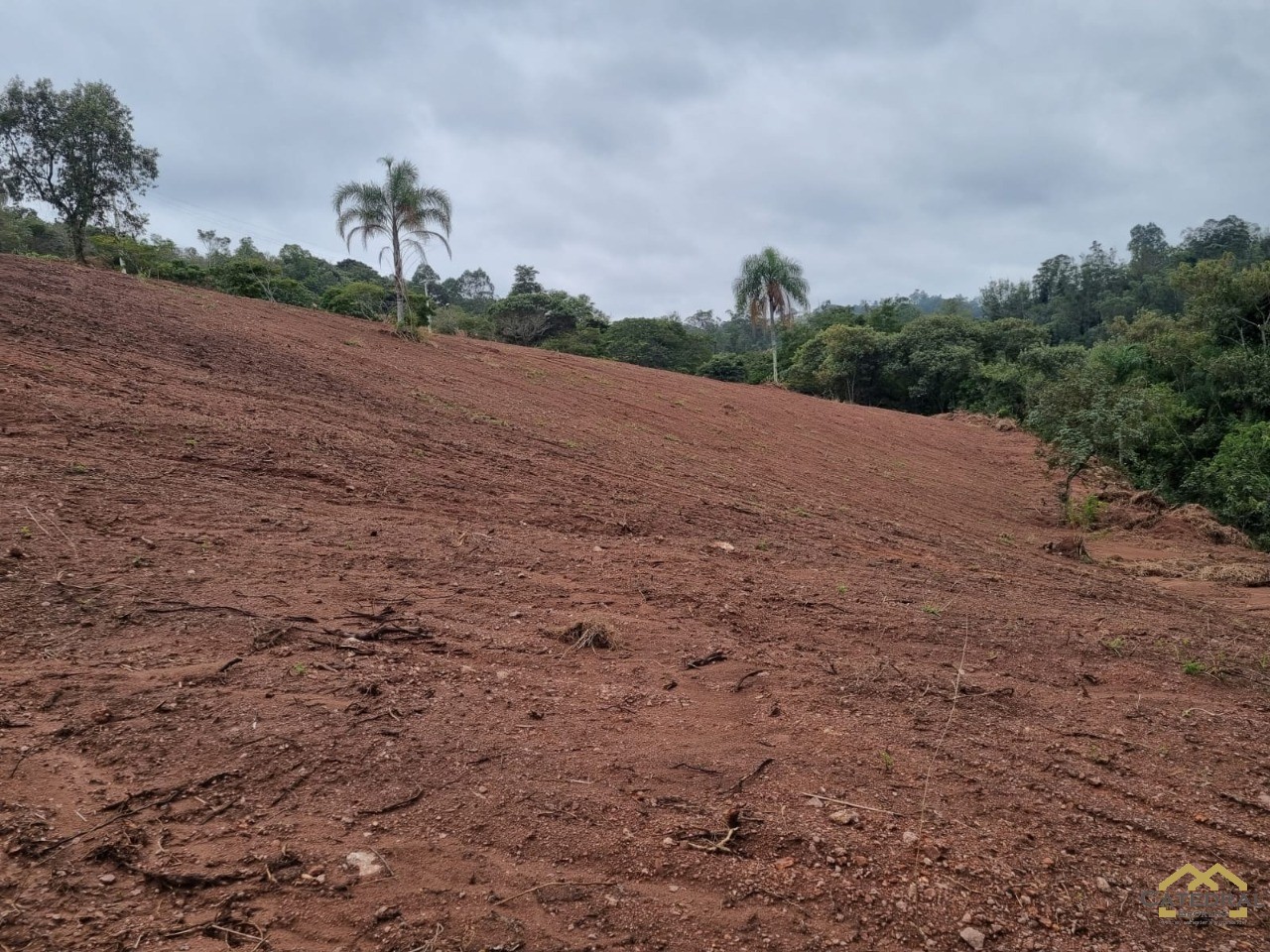 Terreno à venda, 5000m² - Foto 5