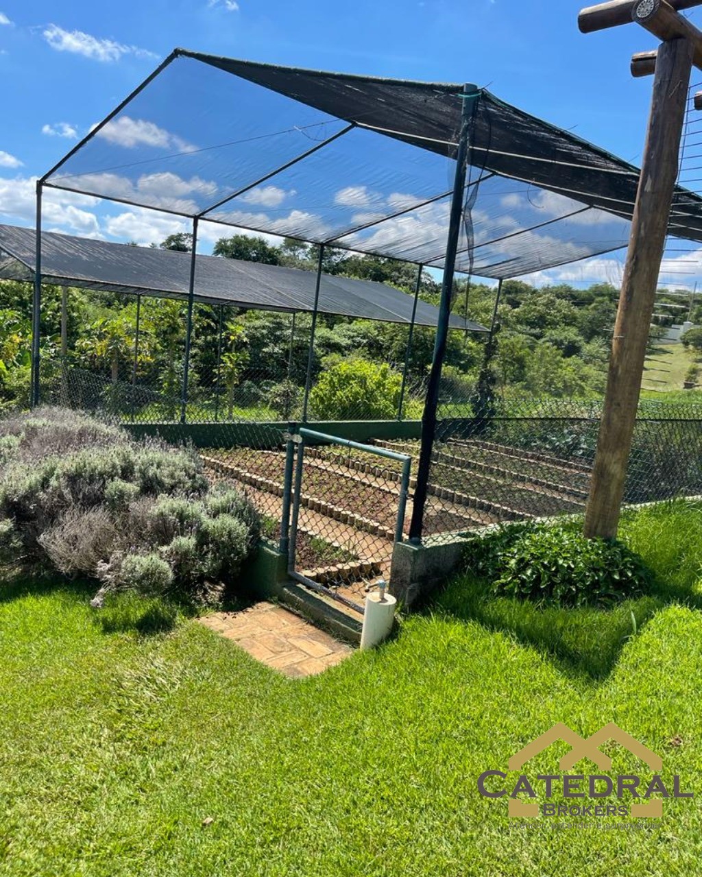 Terreno, 38 hectares - Foto 2