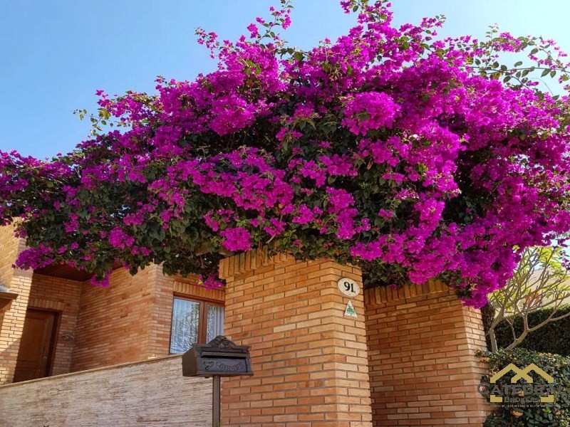 Casa de Condomínio à venda com 4 quartos, 1000m² - Foto 6