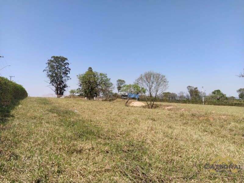 Haras e Área Rural Padrão à venda, 29126m² - Foto 6