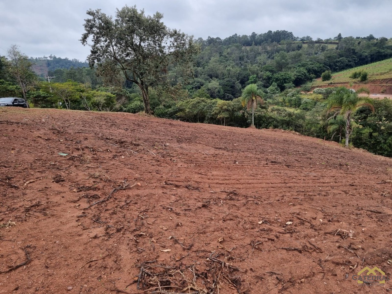 Terreno à venda, 5000m² - Foto 10