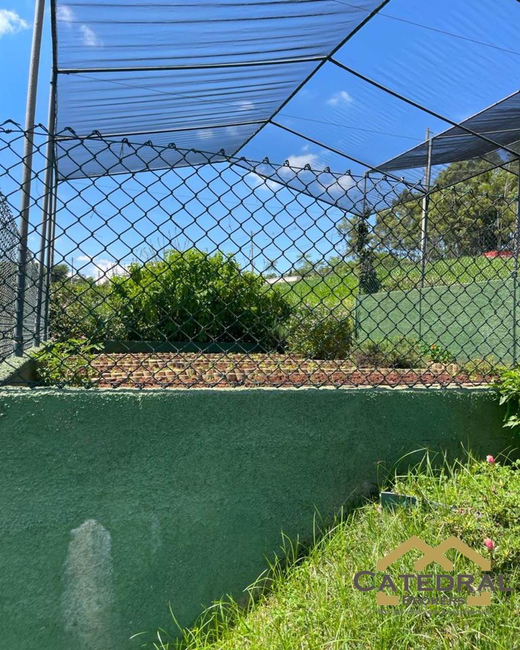 Terreno, 38 hectares - Foto 7