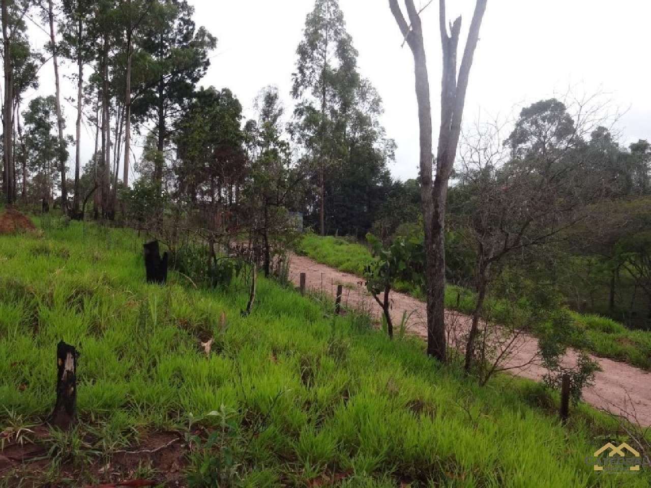 Terreno à venda, 1800m² - Foto 9