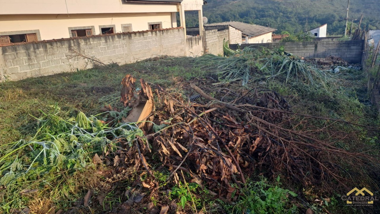 Terreno à venda, 250m² - Foto 6