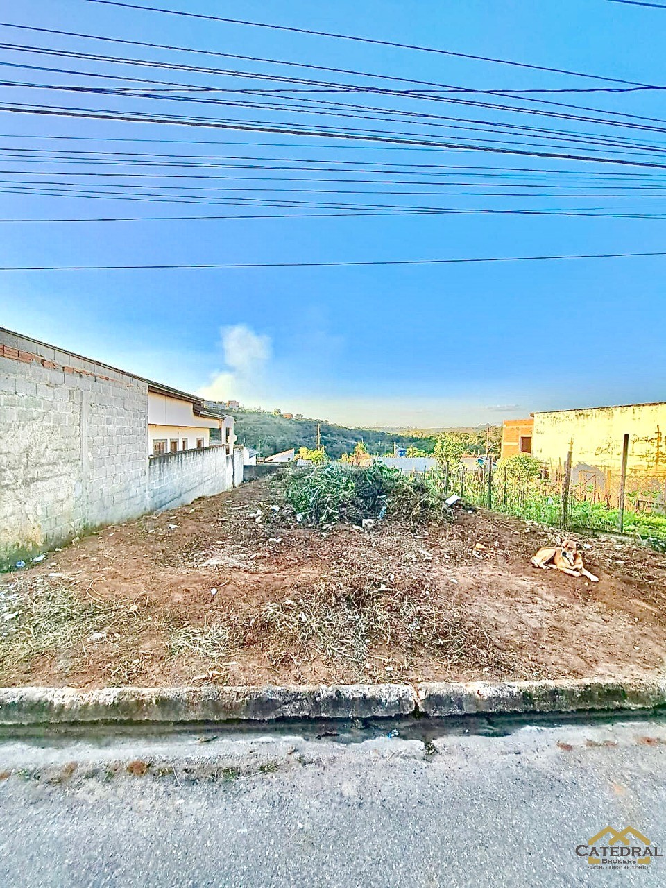 Terreno à venda, 250m² - Foto 2