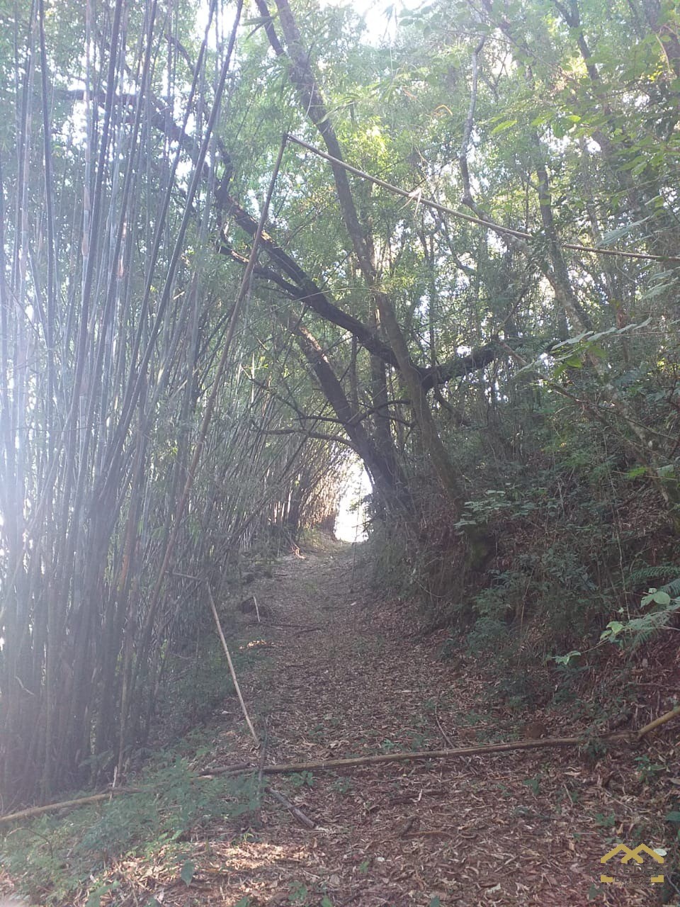 Terreno à venda, 1300m² - Foto 3