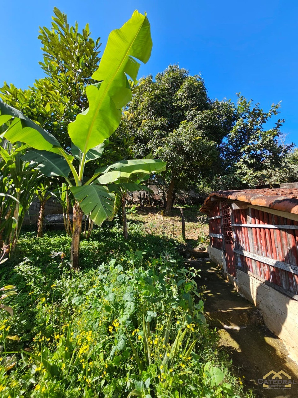 Casa à venda com 2 quartos, 155m² - Foto 30