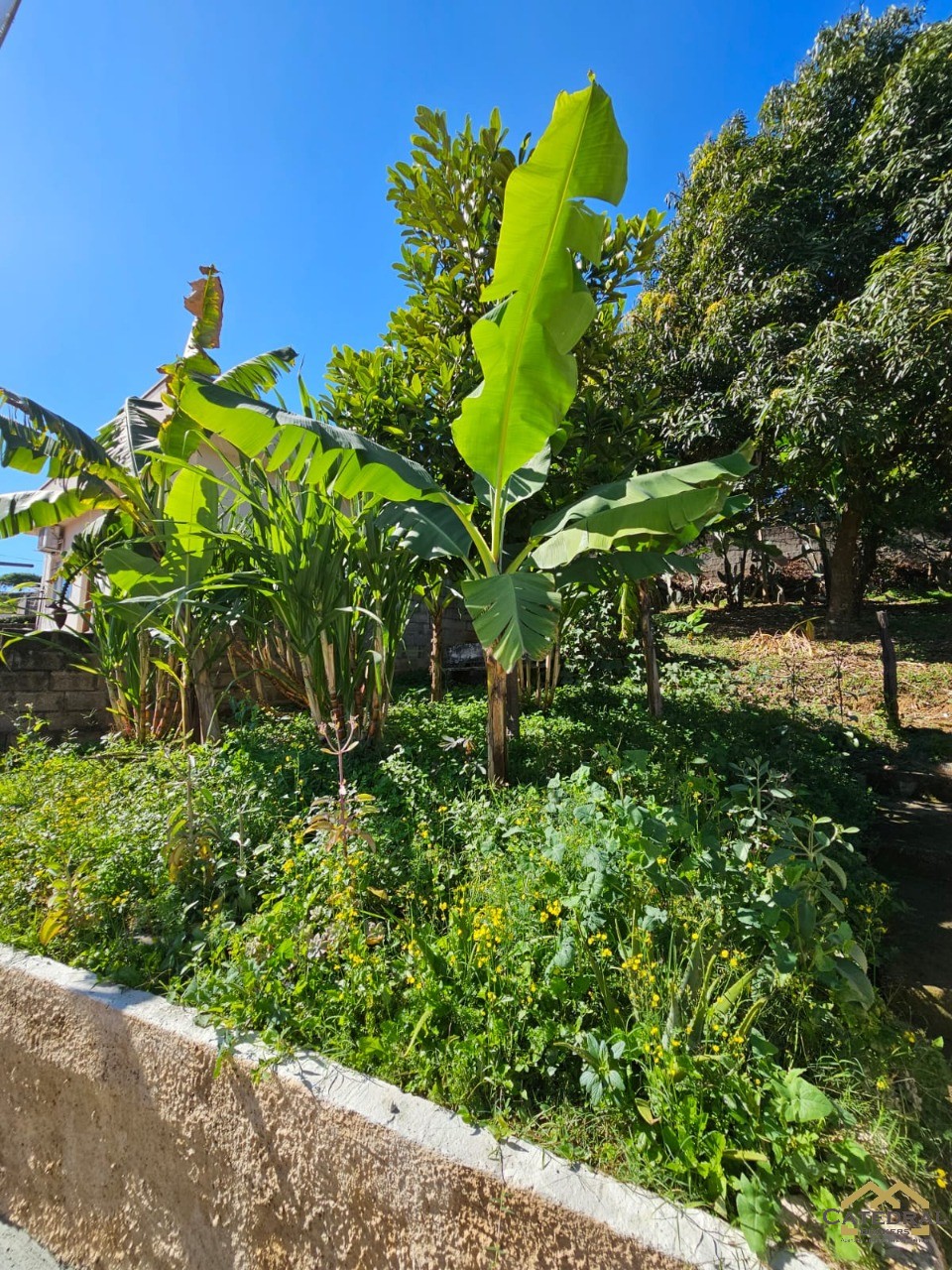 Casa à venda com 2 quartos, 155m² - Foto 33