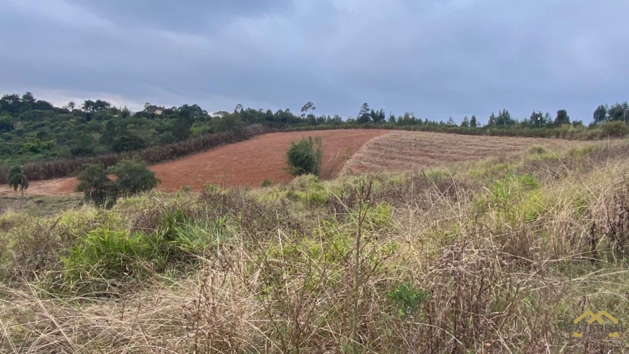 Haras e Área Rural Padrão à venda, 27000m² - Foto 6