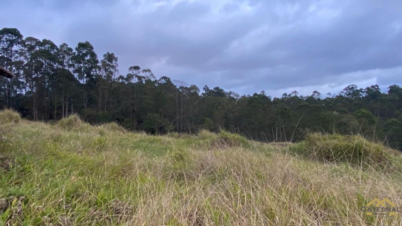 Haras e Área Rural Padrão à venda, 27000m² - Foto 2