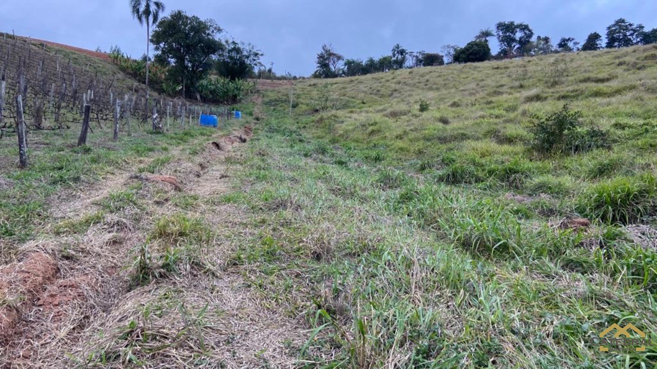 Haras e Área Rural Padrão à venda, 27000m² - Foto 7