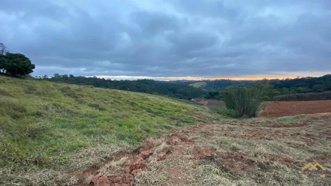 Haras e Área Rural Padrão à venda, 27000m² - Foto 11