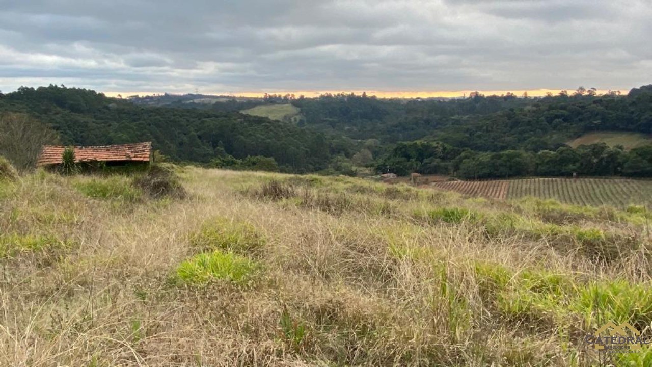 Haras e Área Rural Padrão à venda, 27000m² - Foto 12