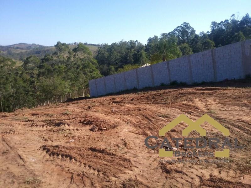 Terreno à venda, 6500m² - Foto 2