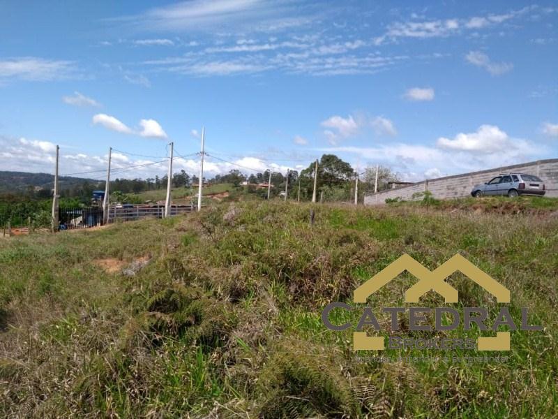 Terreno à venda, 800m² - Foto 3