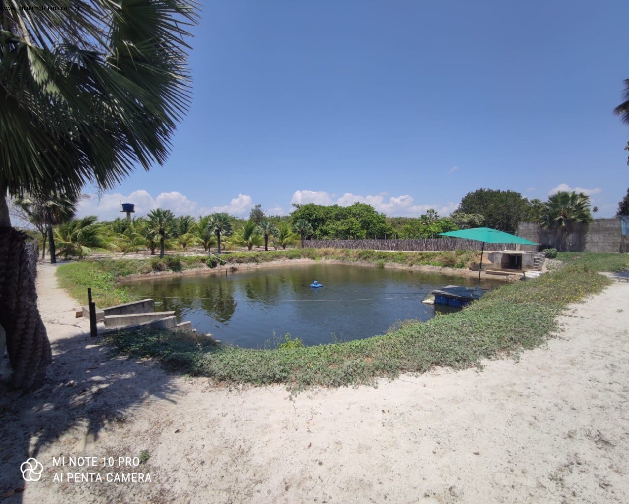 SITIO RESIDENCIAL/COMERCIAL em BEBERIBE - CE, Sítio Floresta