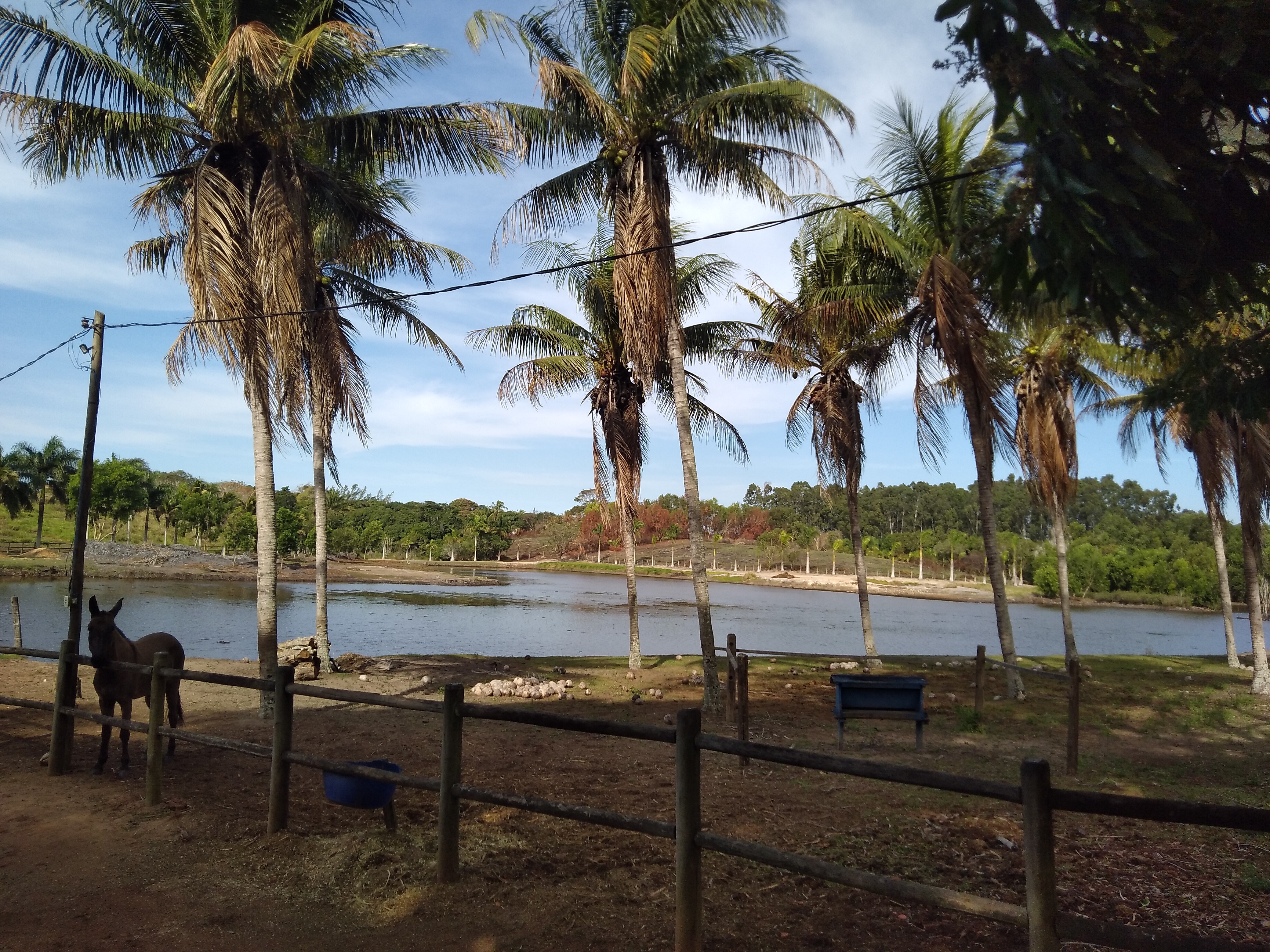 SITIO RURAL em Guarapari - ES, Jaboticaba