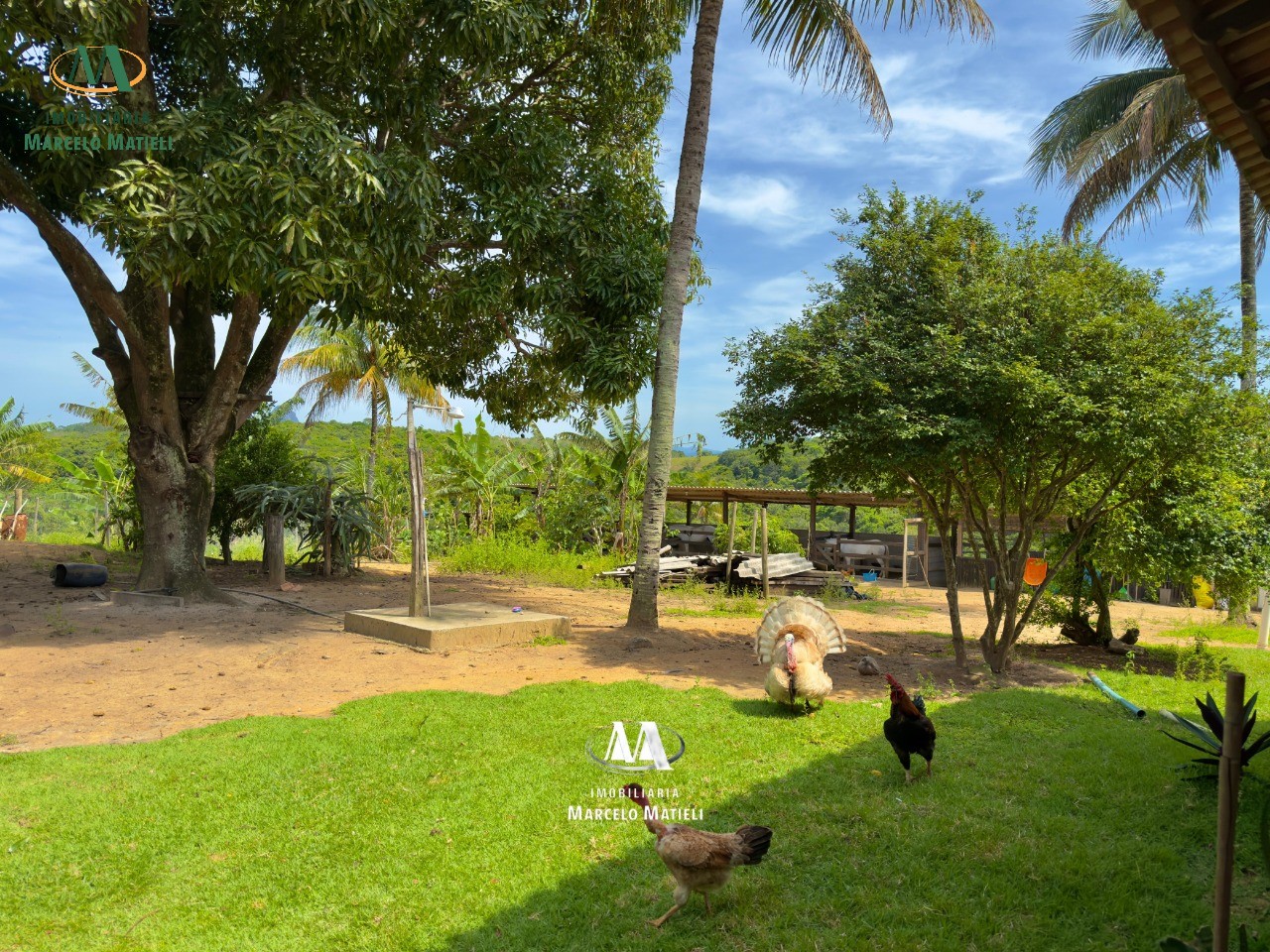 Chácara, 2 quartos, 4 hectares - Foto 19