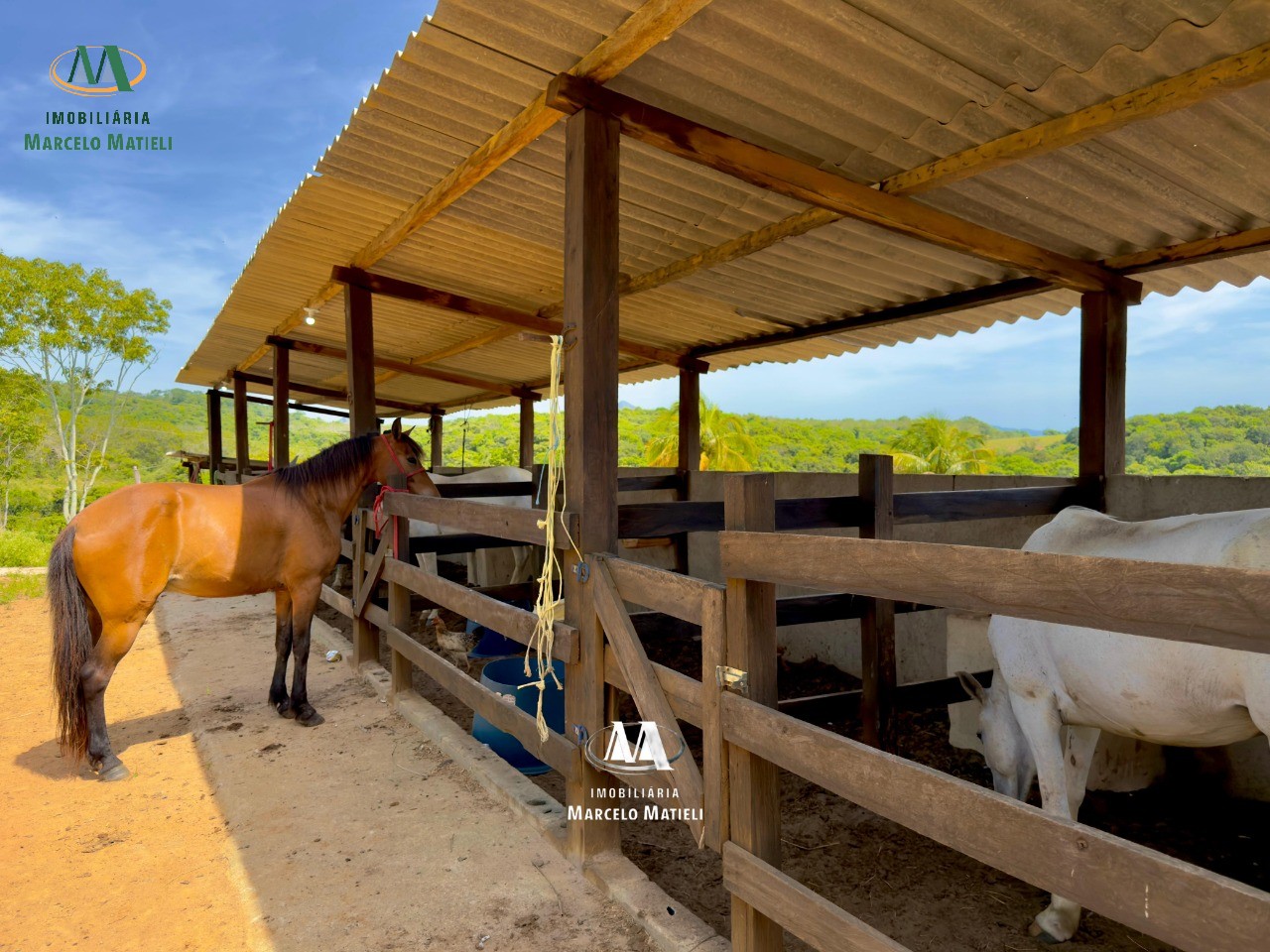 Chácara, 2 quartos, 4 hectares - Foto 17