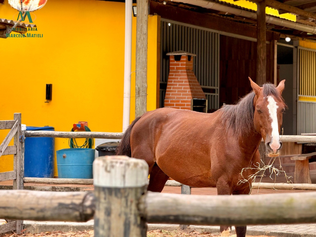 Chácara, 2 quartos, 4650 m² - Foto 8