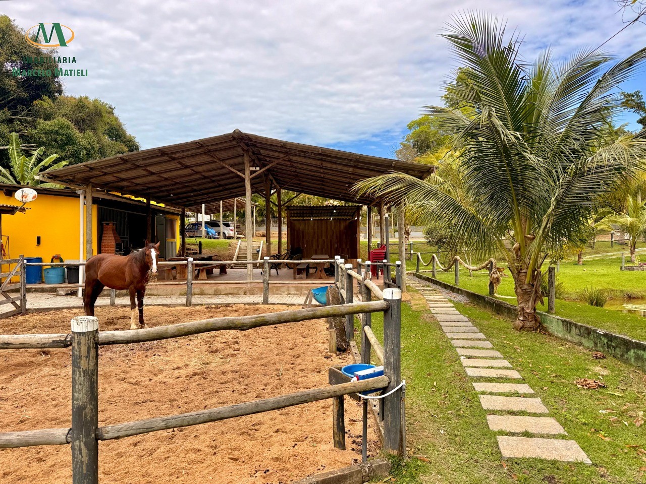 Chácara, 2 quartos, 4650 m² - Foto 19