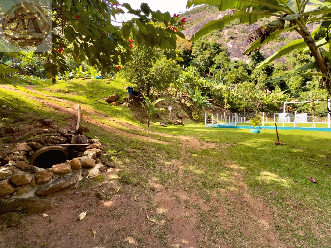 Sítio, 10 quartos, 3 hectares - Foto 3
